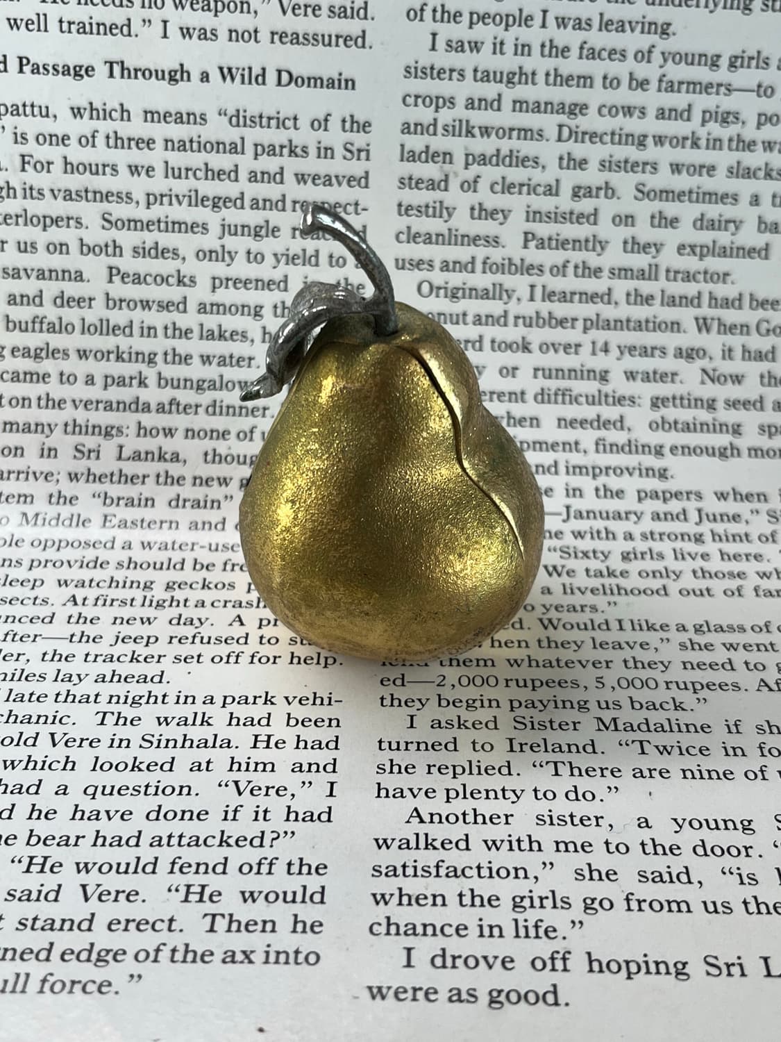 TIMEX 서양배 탁상시계 상품이미지4