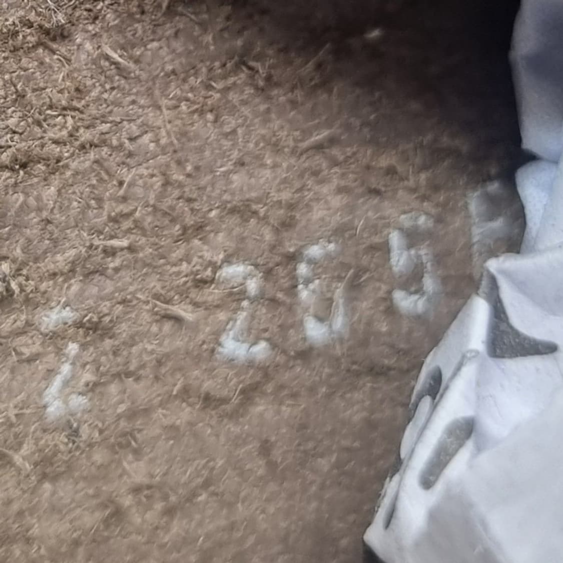 소다 옴므 남성 정장 구두 255 상품이미지6