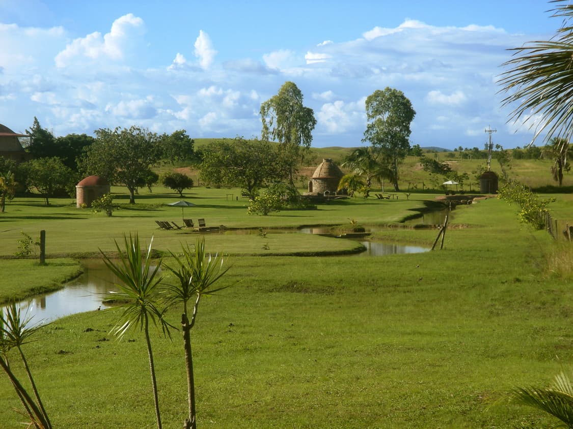 소니 사이버샷 dsc-t5 빈티지 디카 판매합니다 상품이미지10