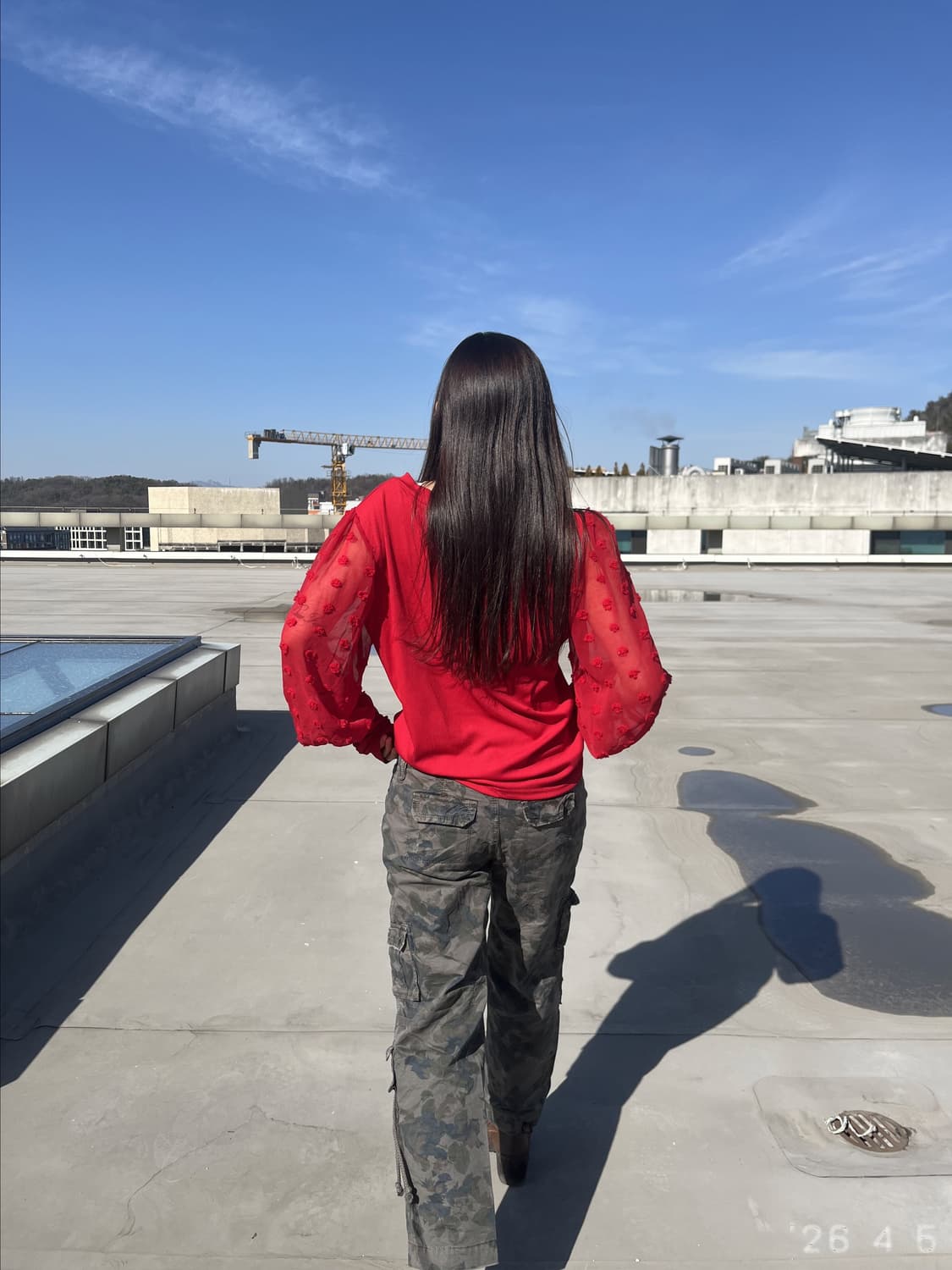 Red Sheer-sleeve Top 레드 쉬어슬리브 탑 상품이미지6