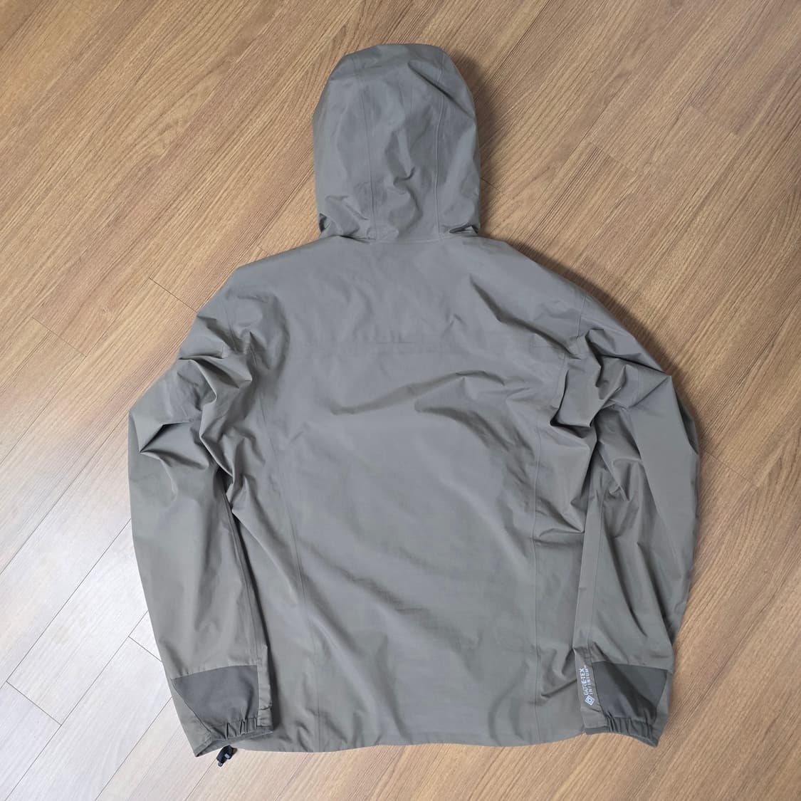 (M) 아크테릭스 솔라노 고어텍스 후디 자켓 알케미 상품이미지2