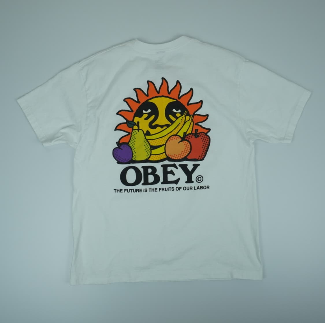 OBEY 오베이 그래픽 반팔 | 상태사진확인 상품이미지6
