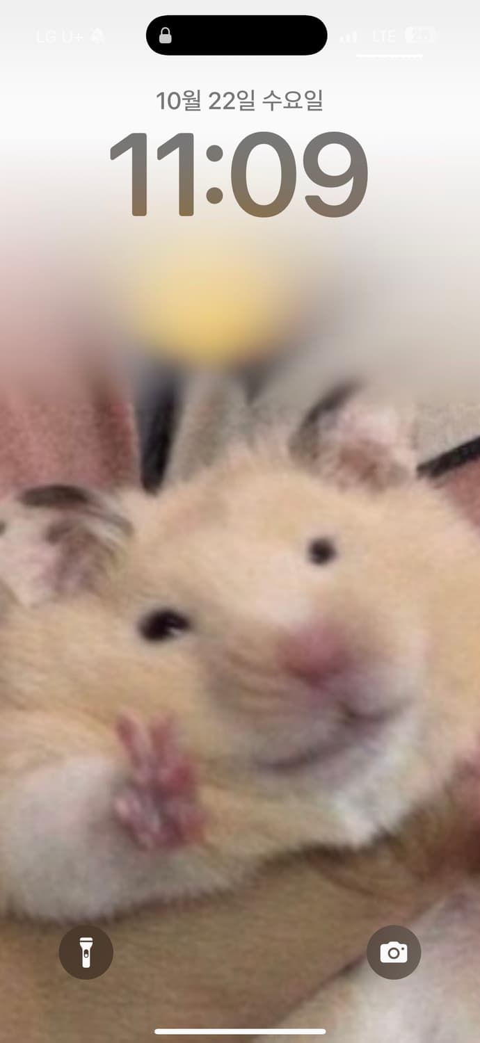 ㅇㅇㅇㅇㅇㅇ 상품이미지1