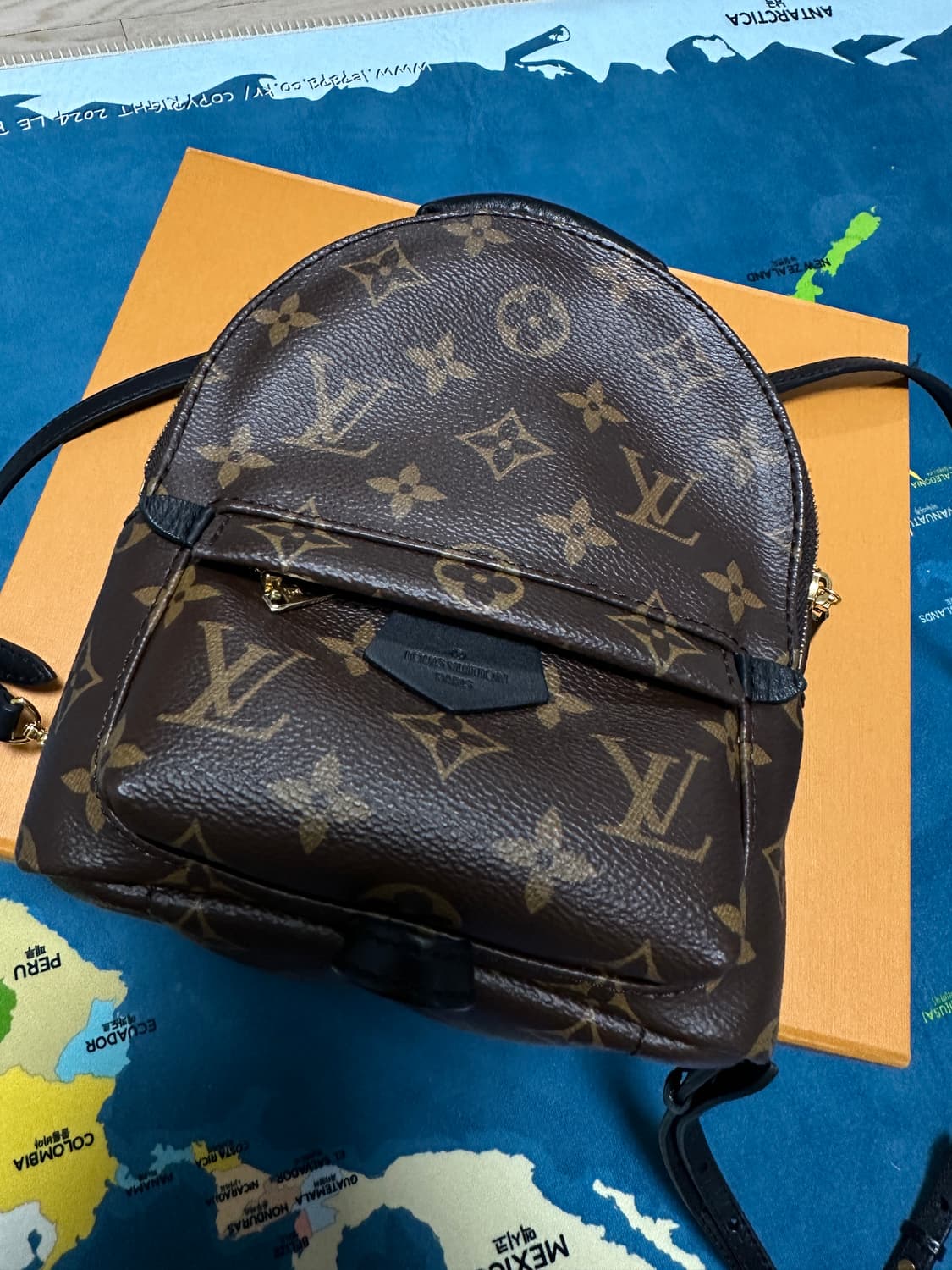 루이비통 팜스프링스 백팩 상품이미지1