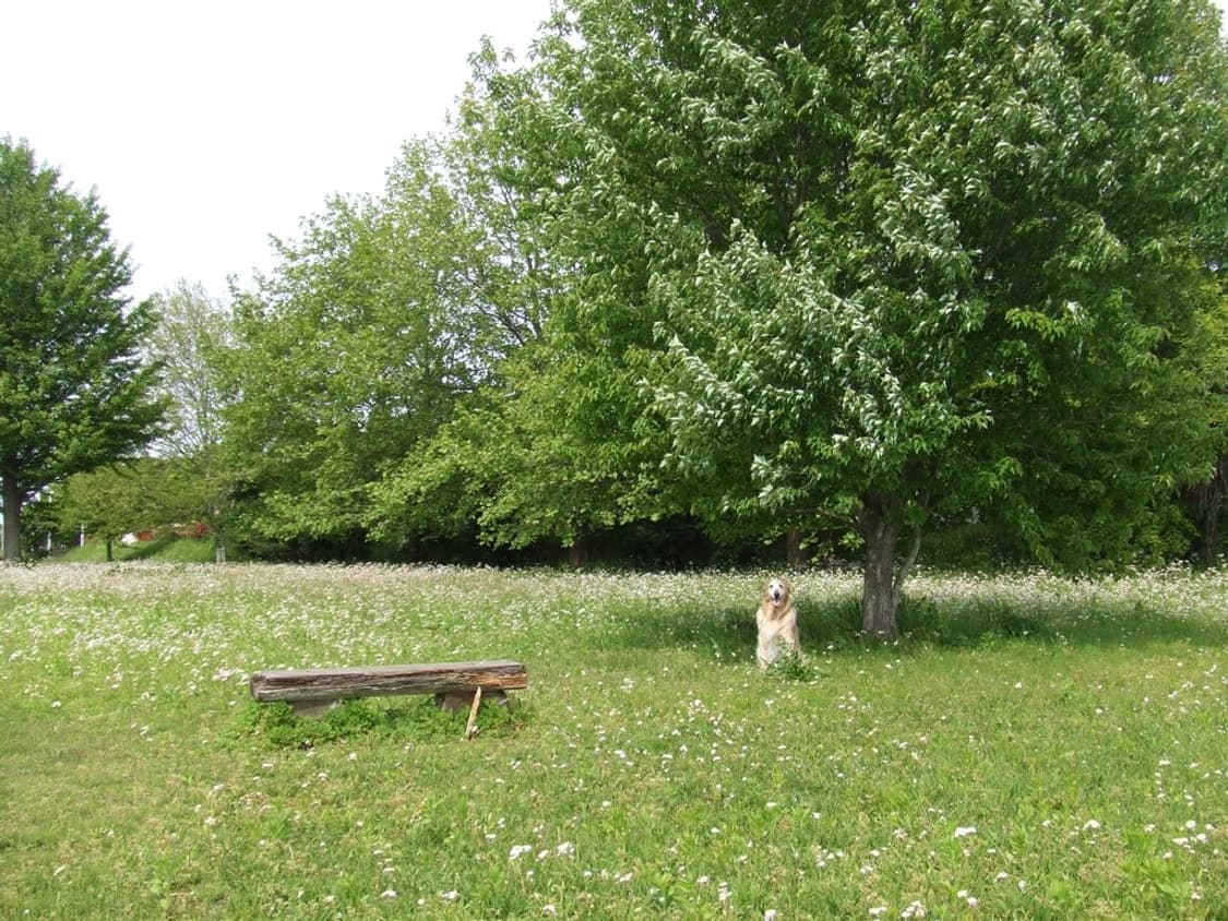 (아일릿/최예나pick💕) 후지필름 파인픽스 Z5fd 디카 디지털카메라 상품이미지9