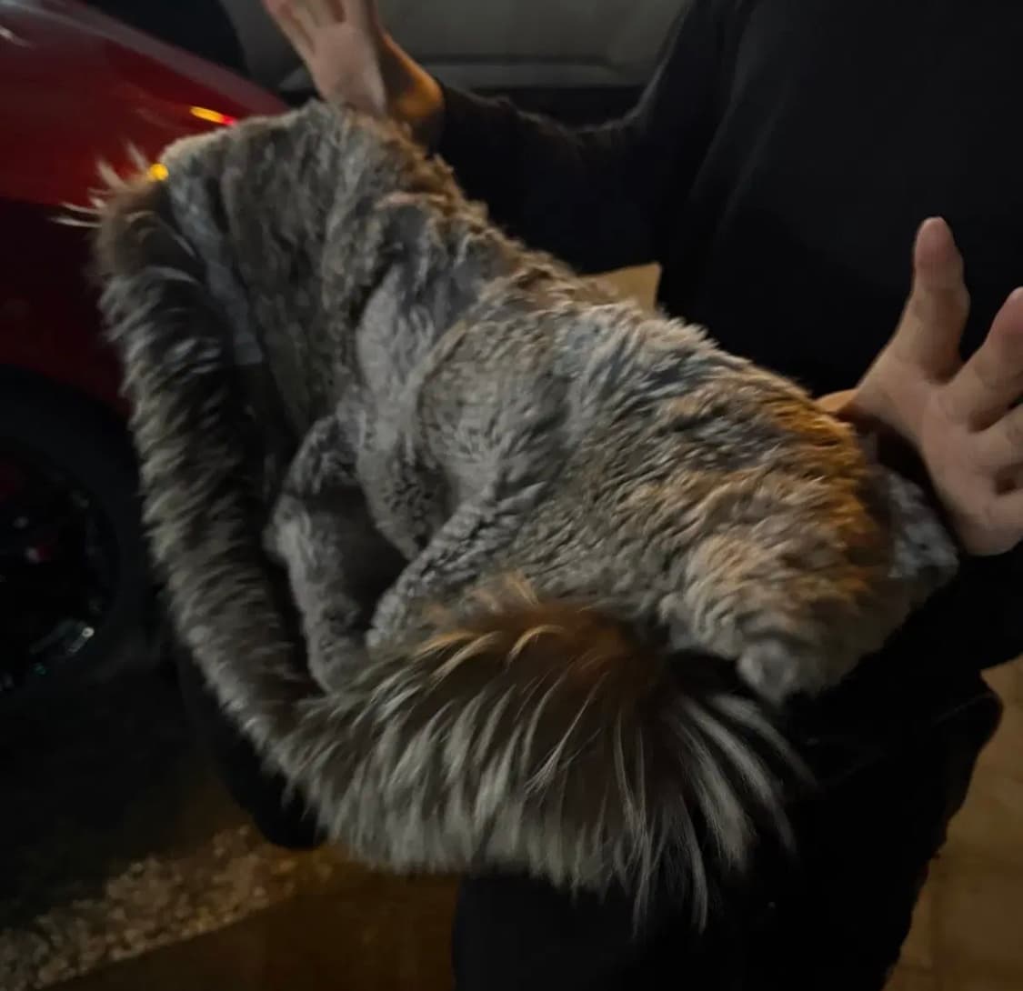 맥케이지 딕슨 패딩 38 상품이미지2