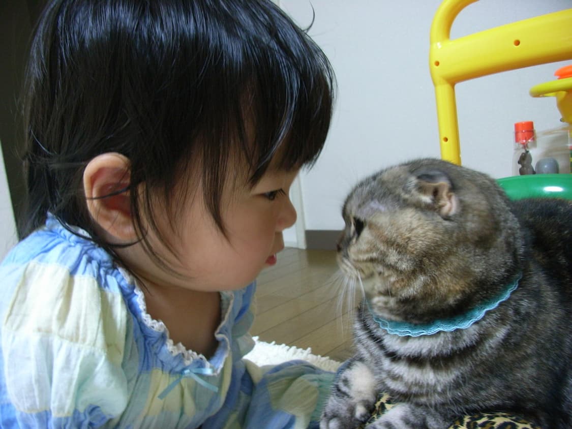 (한국어지원✨) 리코 Ricoh Caplio R5 디카 디지털카메라 상품이미지6