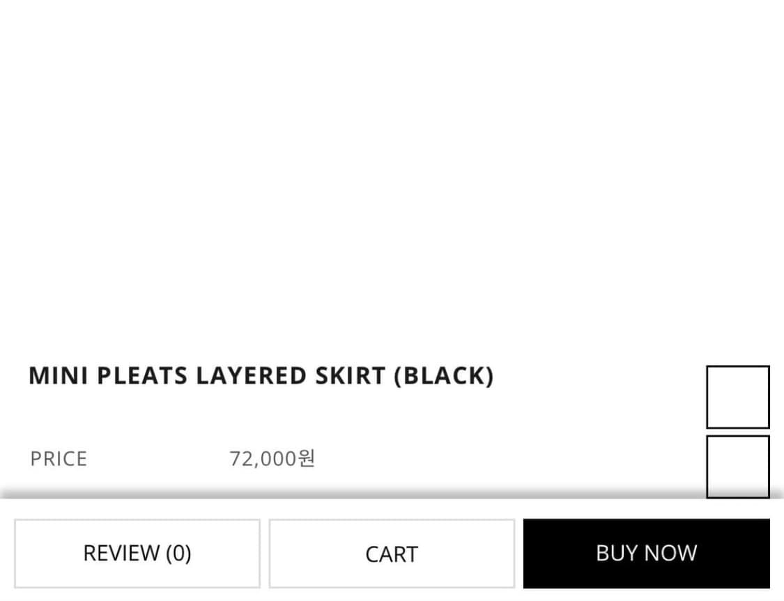 체메씨 mini pleats layered skirt 상품이미지4