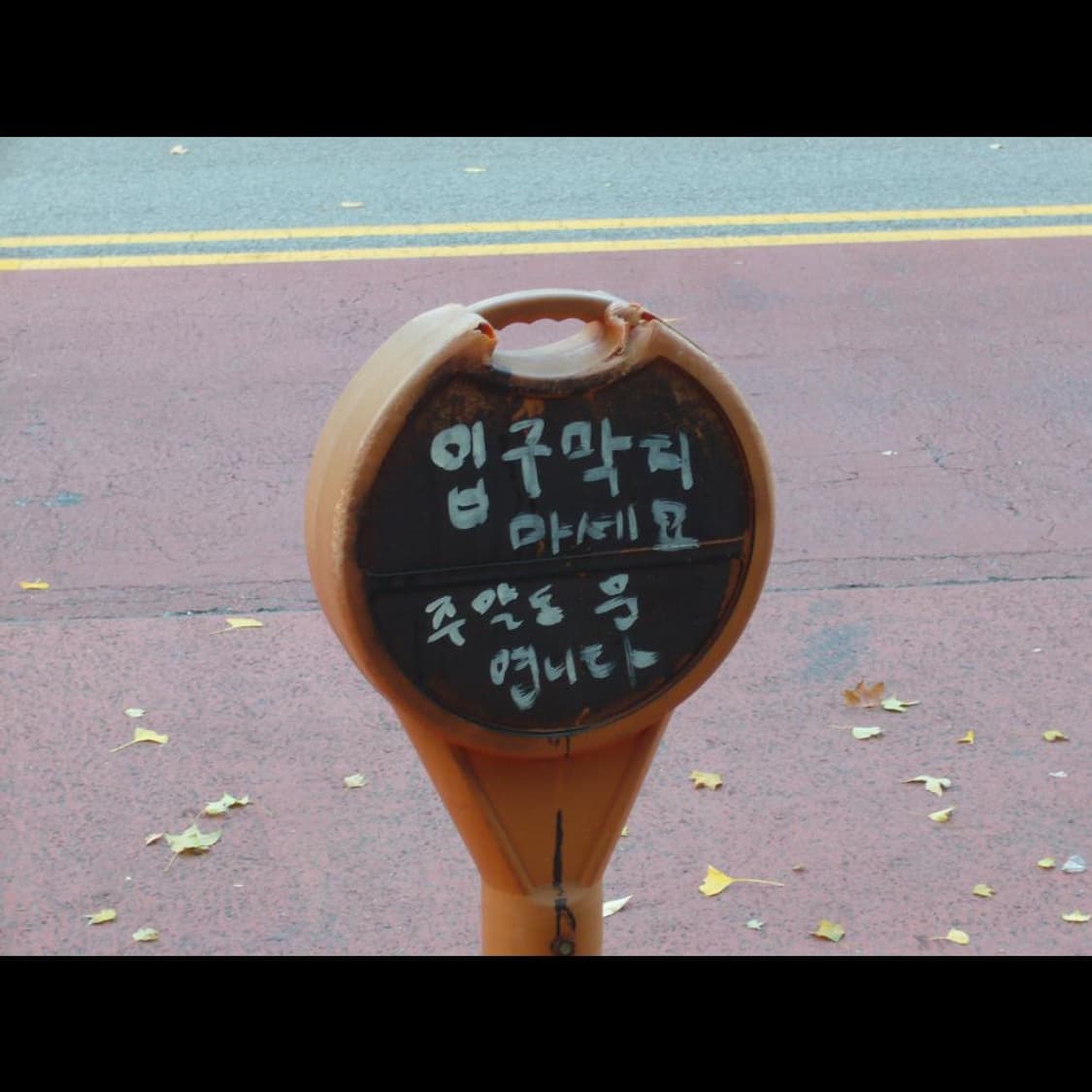 작례⭕️ 파나소닉 루믹스 DMC-FX9 상품이미지8