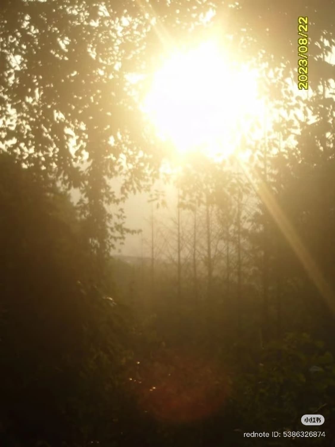 뷰티모드🩷) 삼성 vluu ES17 빈티지 디카 상품이미지9