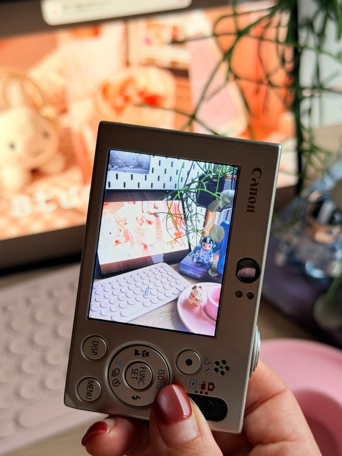 캐논 IXY10 익시10 / ixus70 익서스70 상품이미지9