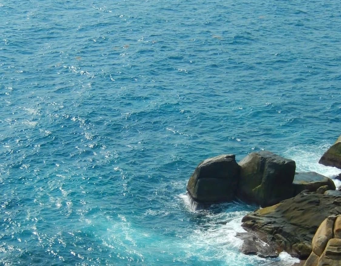 소프트포커스🫧한글디카 🤍 후지필름 파인픽스 Z2000EXR 상품이미지5