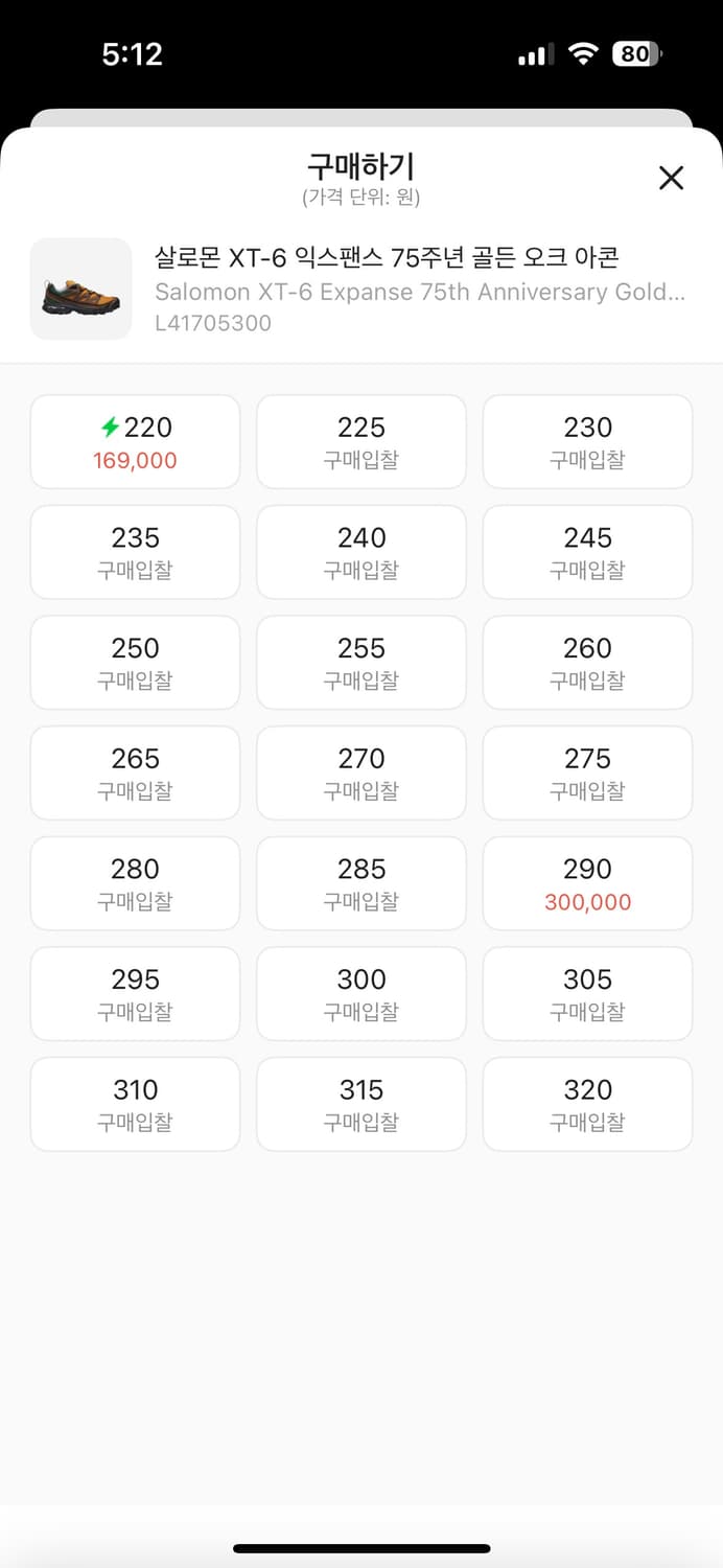 (270) 살로몬 XT-6 익스팬스 75주년 골든 오크 아콘 상품이미지6