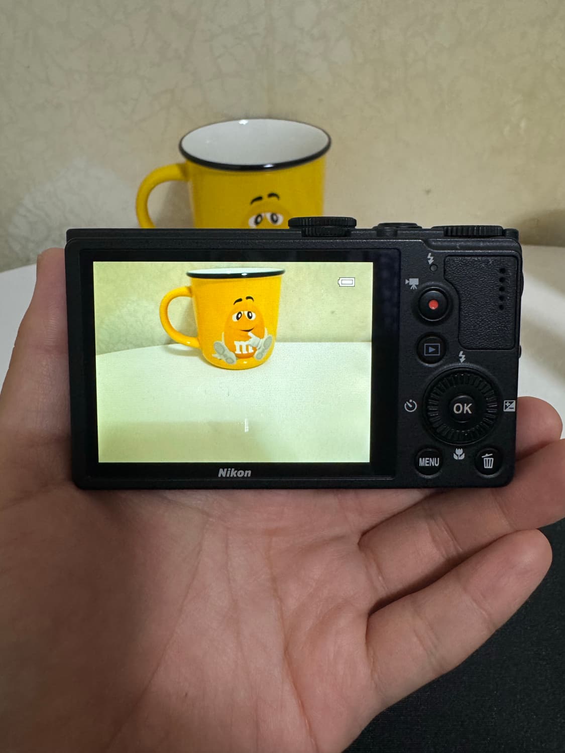 니콘 쿨픽스 P310 디카 상품이미지2