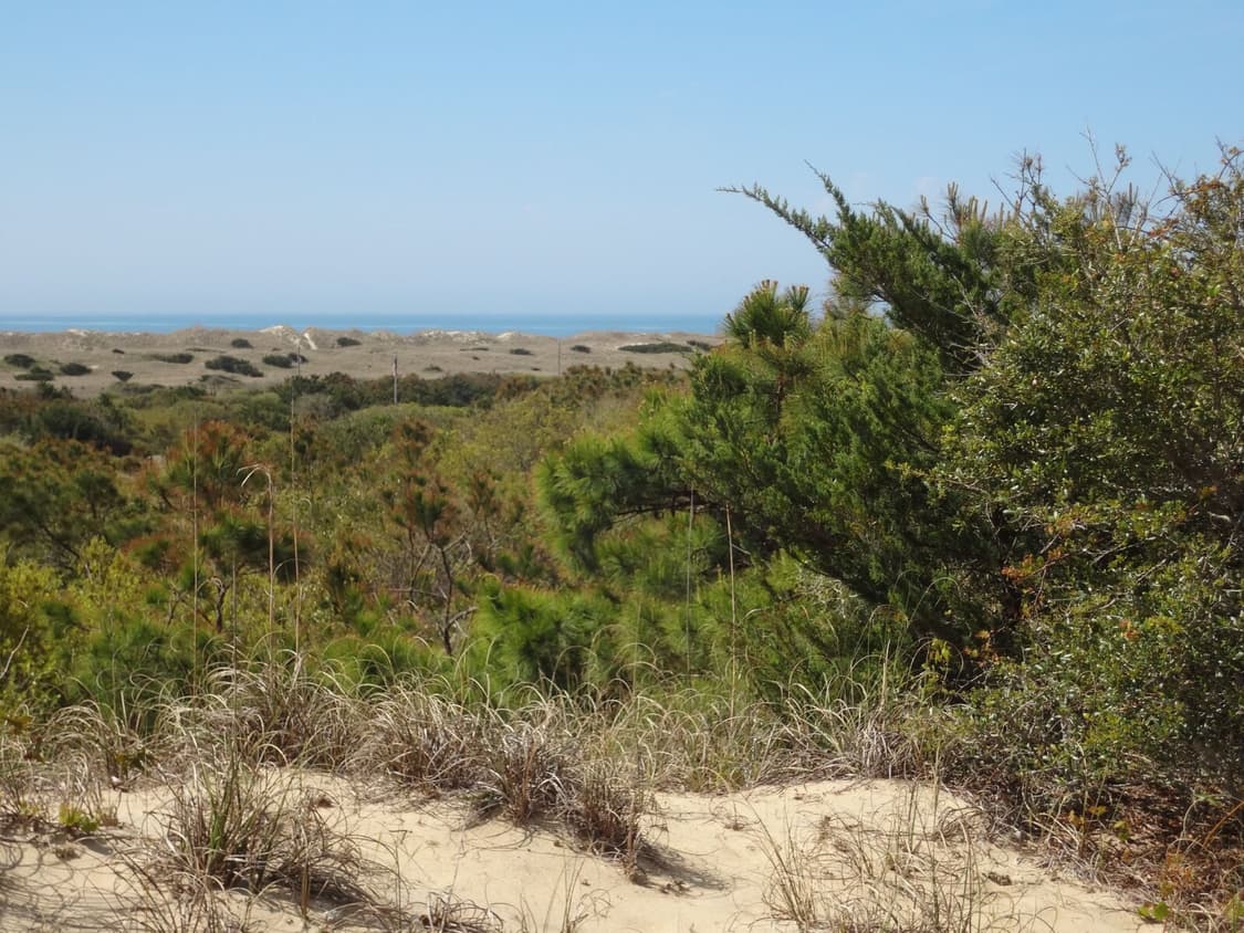 (추천) 소니 사이버샷 WX50 디지털카메라  상품이미지7