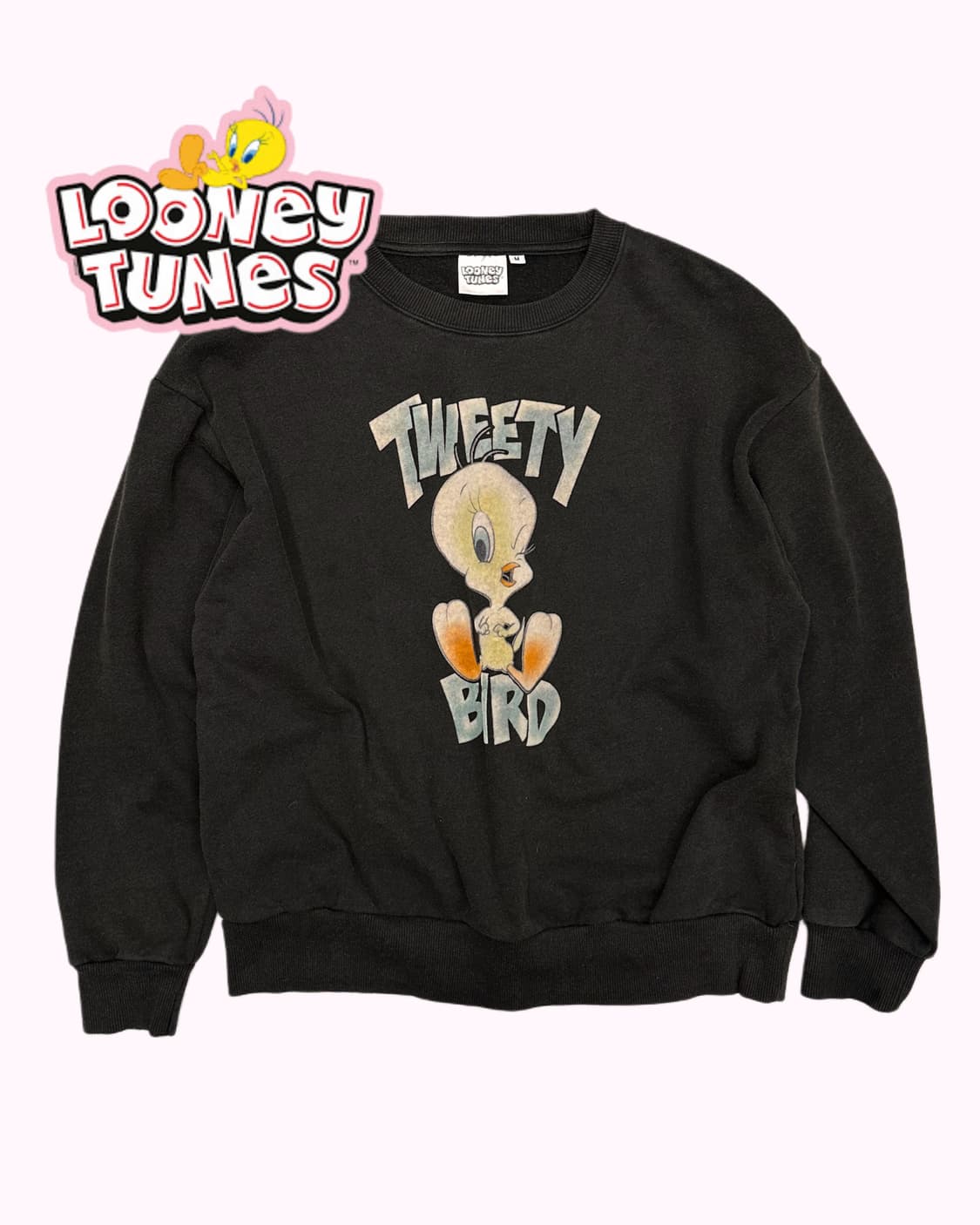 TWEETY velvet printing sweatshirt 상품이미지1