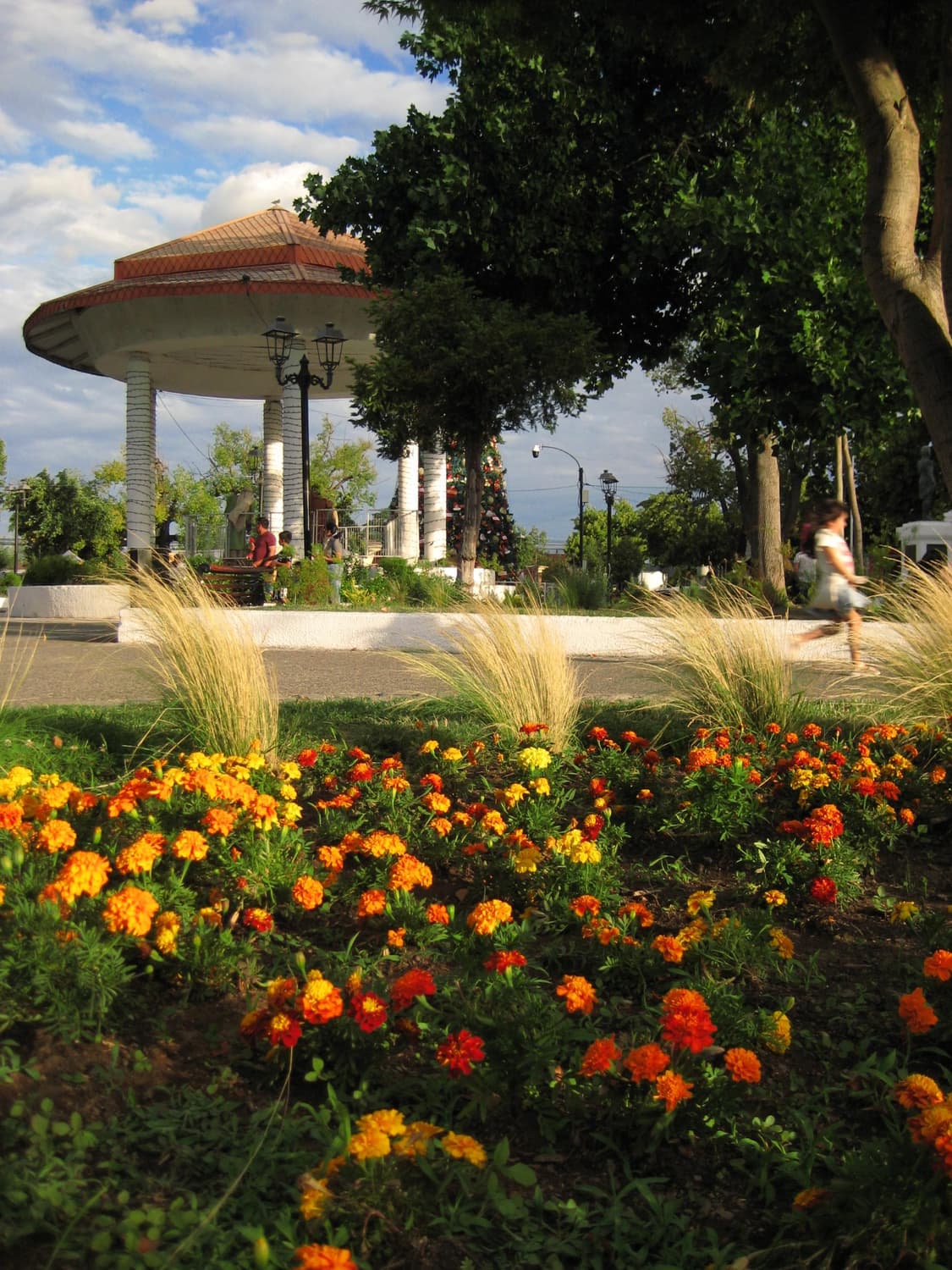 Canon ixus70 ixy10 익서스70 캐논 익서스 디카 상품이미지9