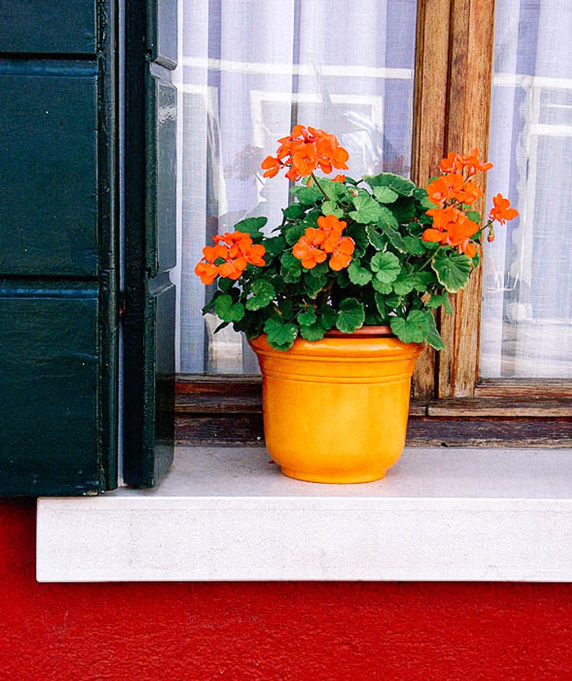 (A급) Fujifilm FinePix A805 (후지픽스 A805) 상품이미지8