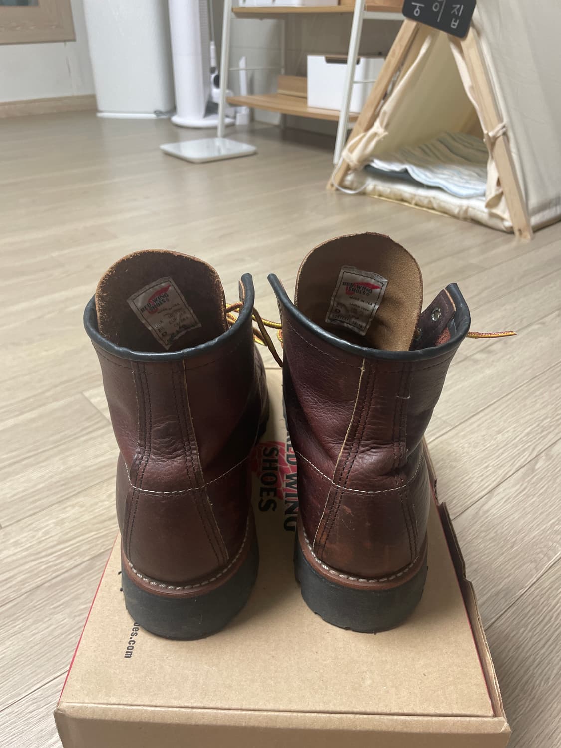레드윙8146 상품이미지3