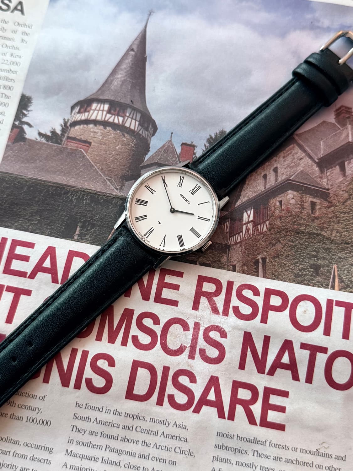 세이코 Seiko 샤리오 화이트 수동 감기 상품이미지2