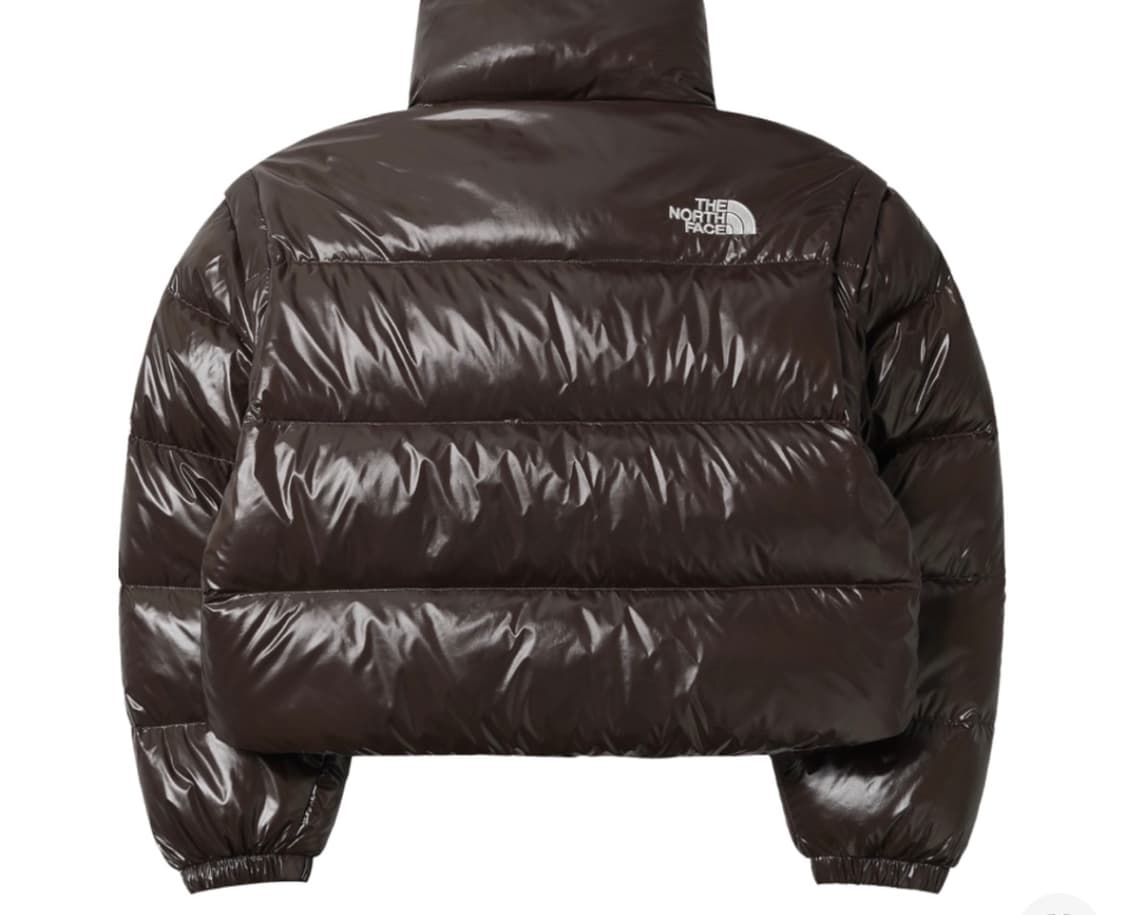 노스페이스 글로시 DT RDS 다운 자켓 코코아 브라운 상품이미지2