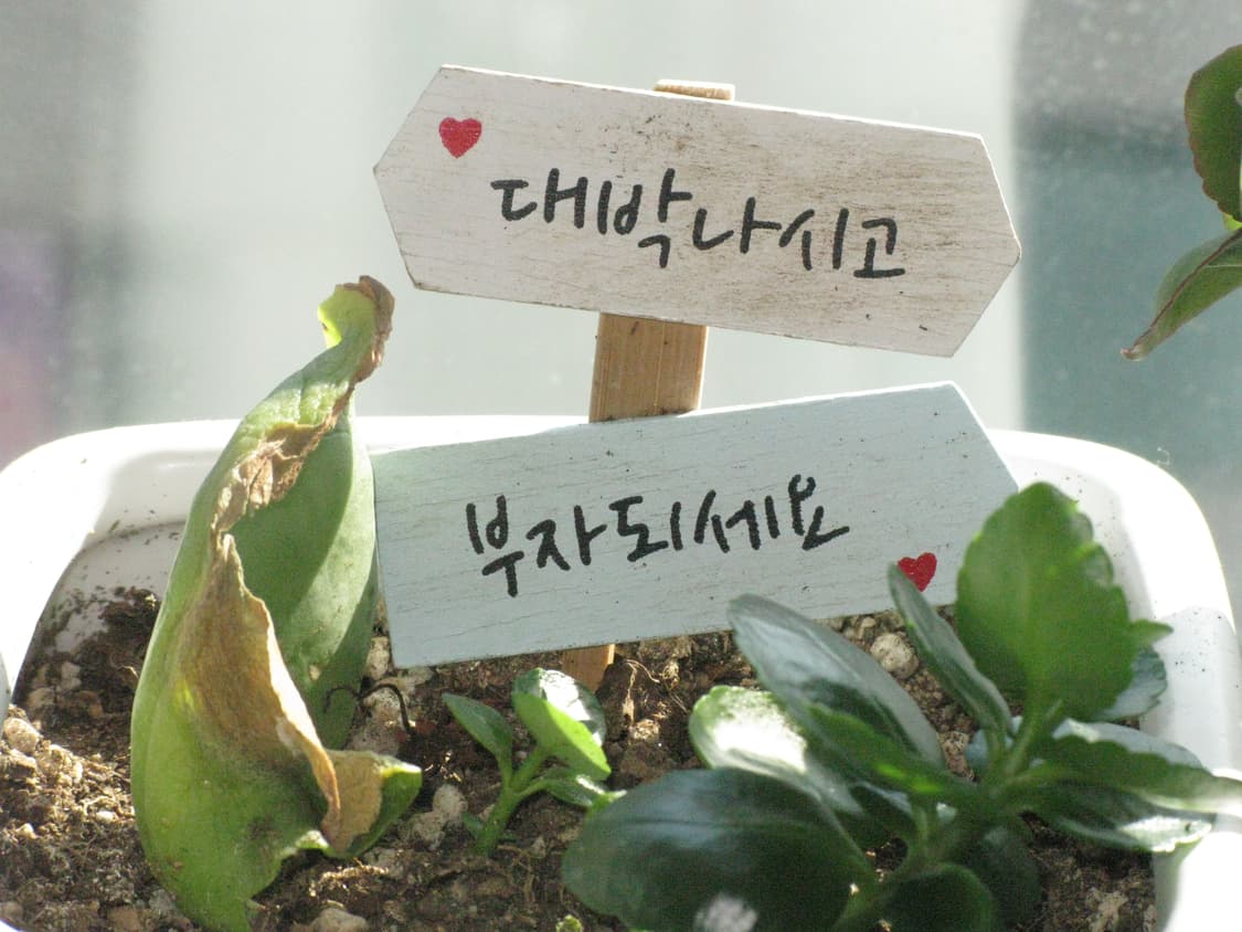 캐논 파워샷 G9 작례포함-예약중- 상품이미지8