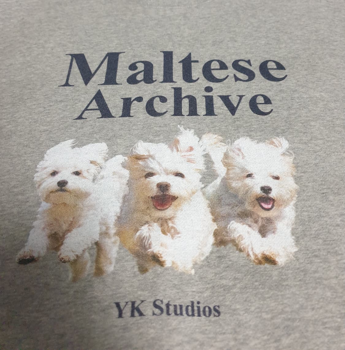 와이케이 말티즈 아카이브 기모 맨투맨 그레이 (2사이즈) 상품이미지3