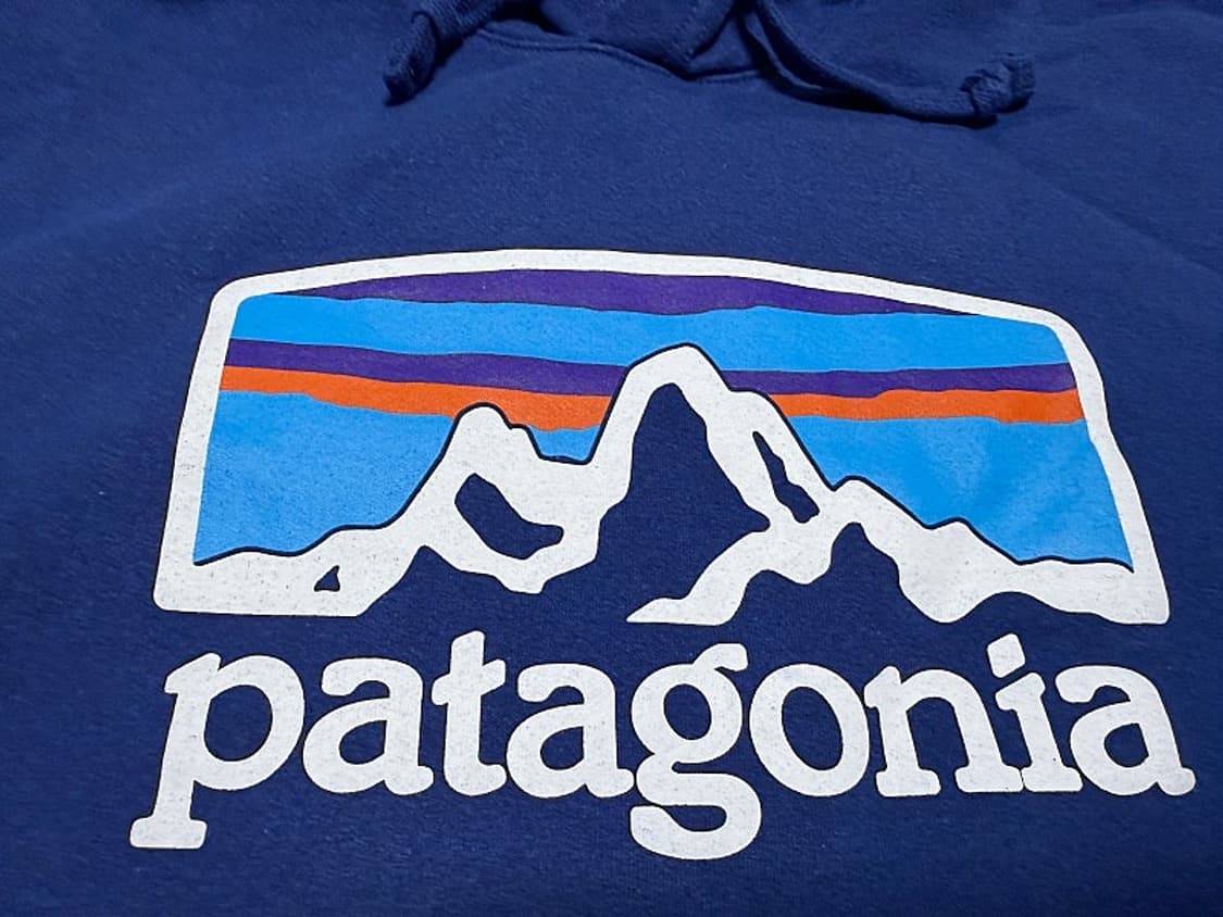 파타고니아 후드 티셔츠 남성용 100사이즈 상품이미지3
