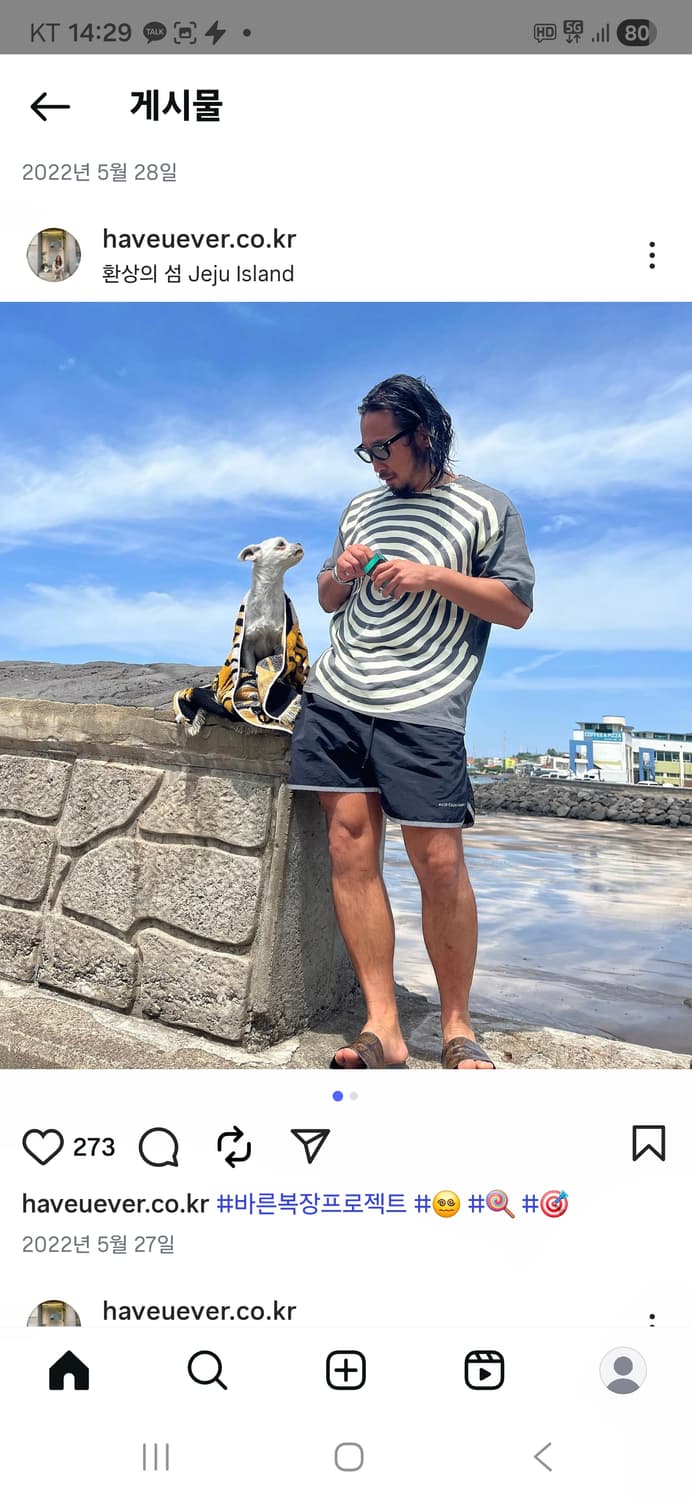 CAL O LINE 칼오라인 반팔티셔츠 XL 상품이미지3