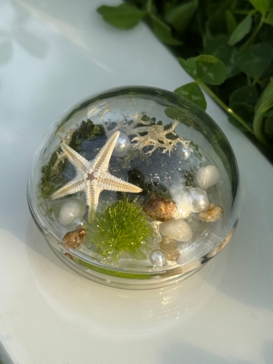 shimmering calm 스마트톡 상품이미지2