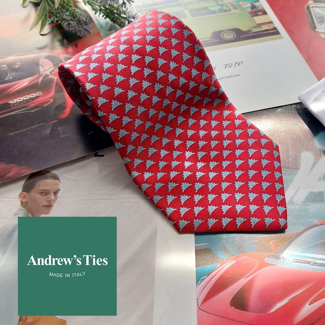 앤드류스타이 실크 레드 패턴 넥타이 10.2cm A+등급 A18292
 상품이미지1