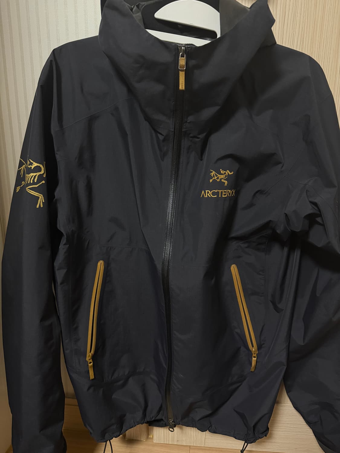 급처 아크테릭스 빔즈 제타 M 상품이미지1