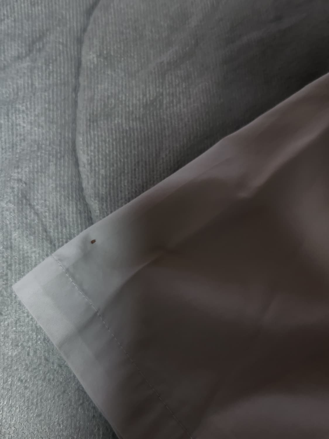 Ocean pacific 반팔 셔츠 상품이미지4