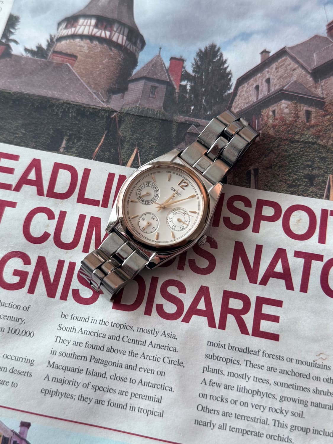 세이코 Seiko lk 레이디스 데이데이트 상품이미지2