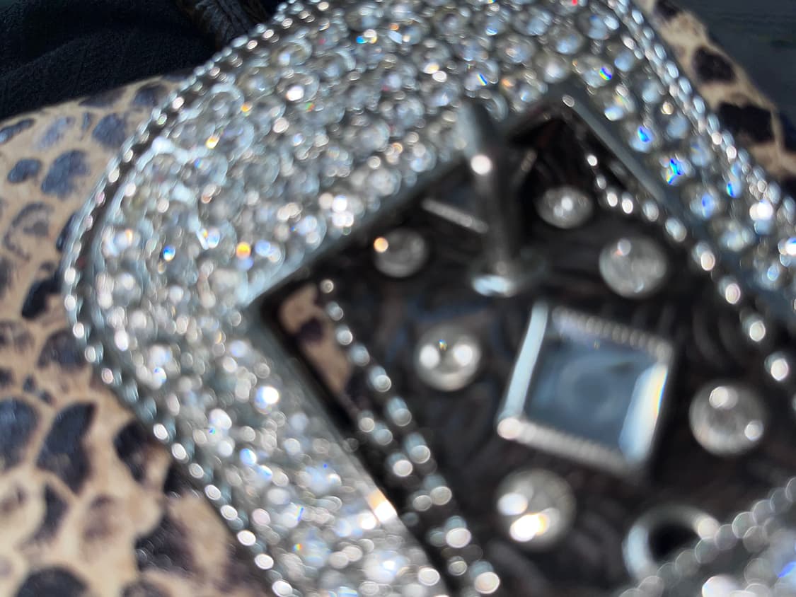 웨스턴 파이톤 핸드백 상품이미지10