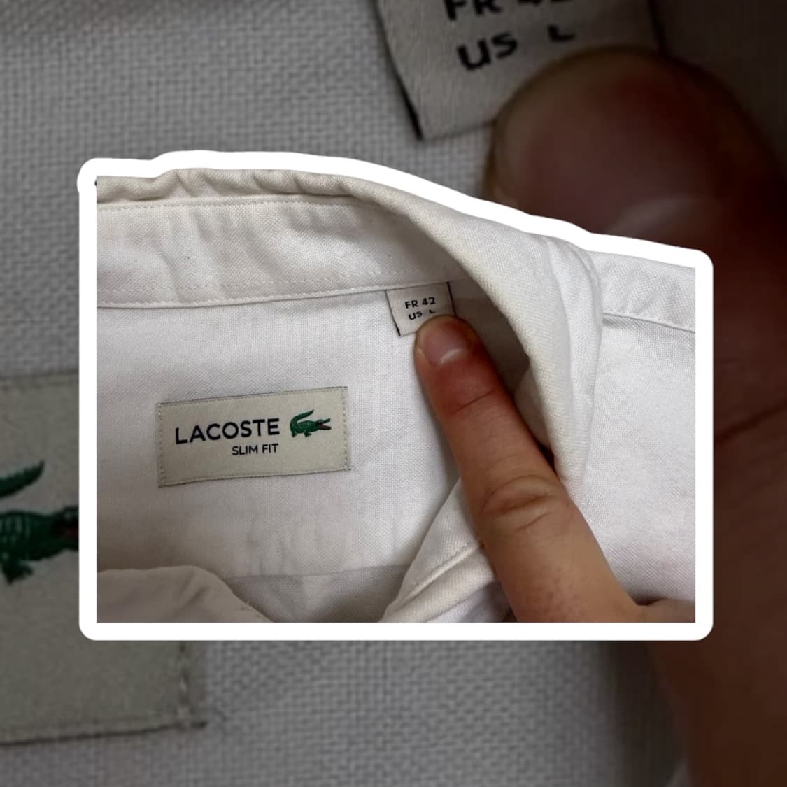 라코스테 셔츠 상품이미지2