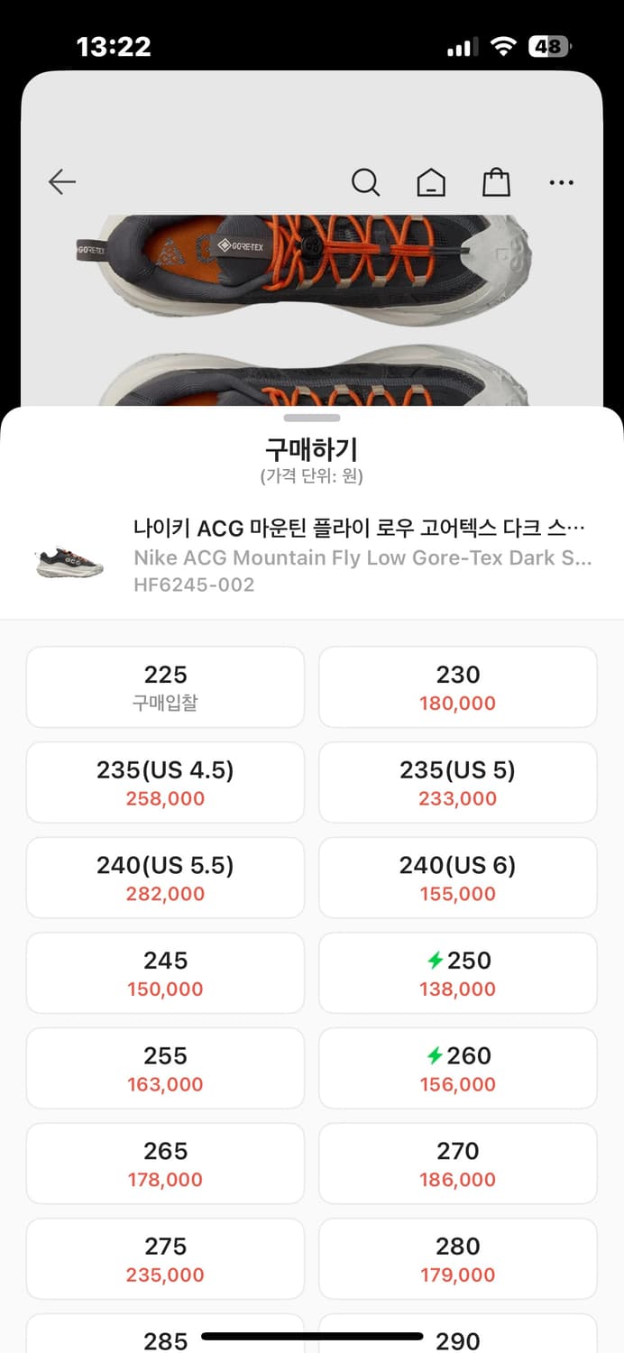 나이키 acg 마운틴 플라이 로우 고어택스 상품이미지3