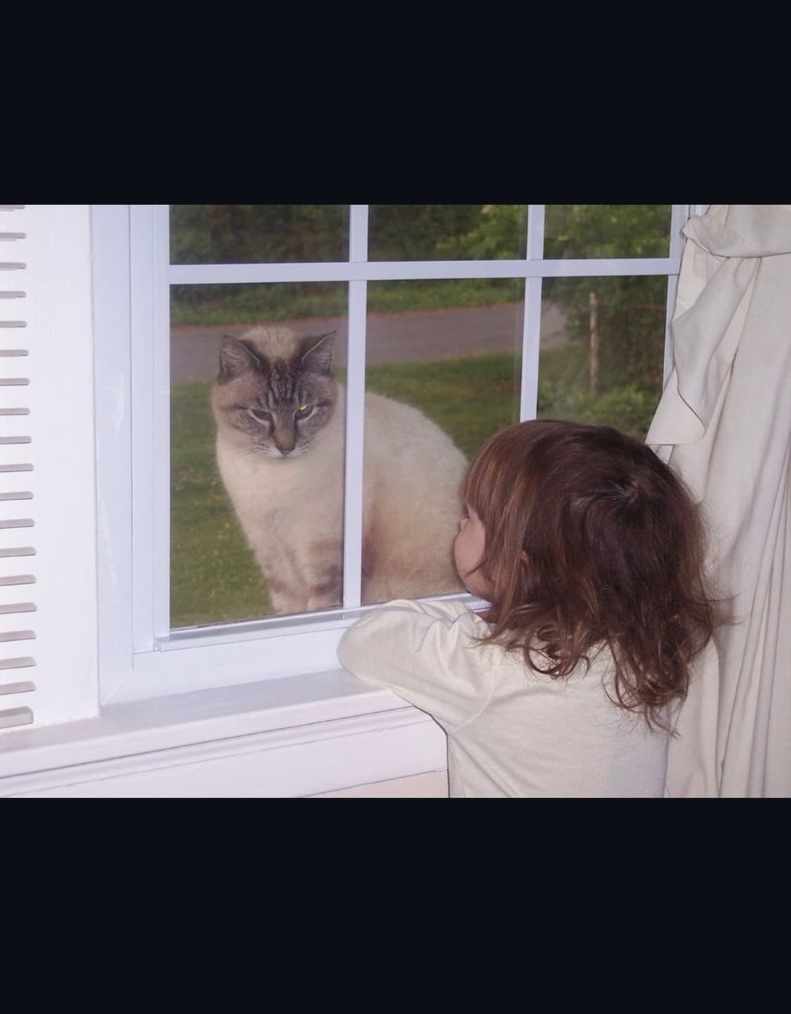 코닥 이지쉐어 c182 디지털카메라 상품이미지9