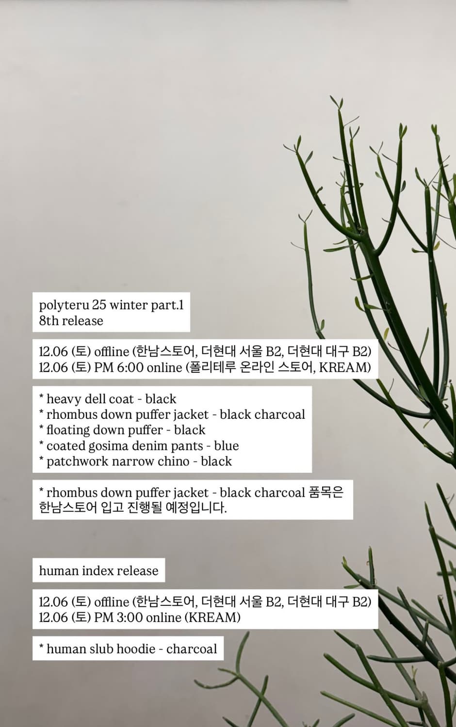 폴리테루 12/6 대리구매 상품이미지1