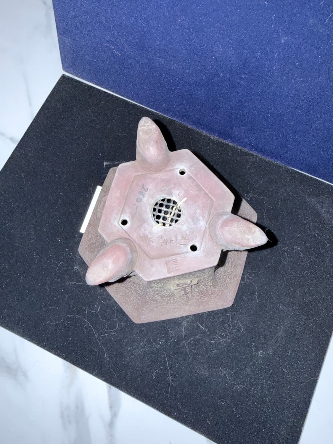 일본 미예(22) 화분 15cm x 9cm 상품이미지3