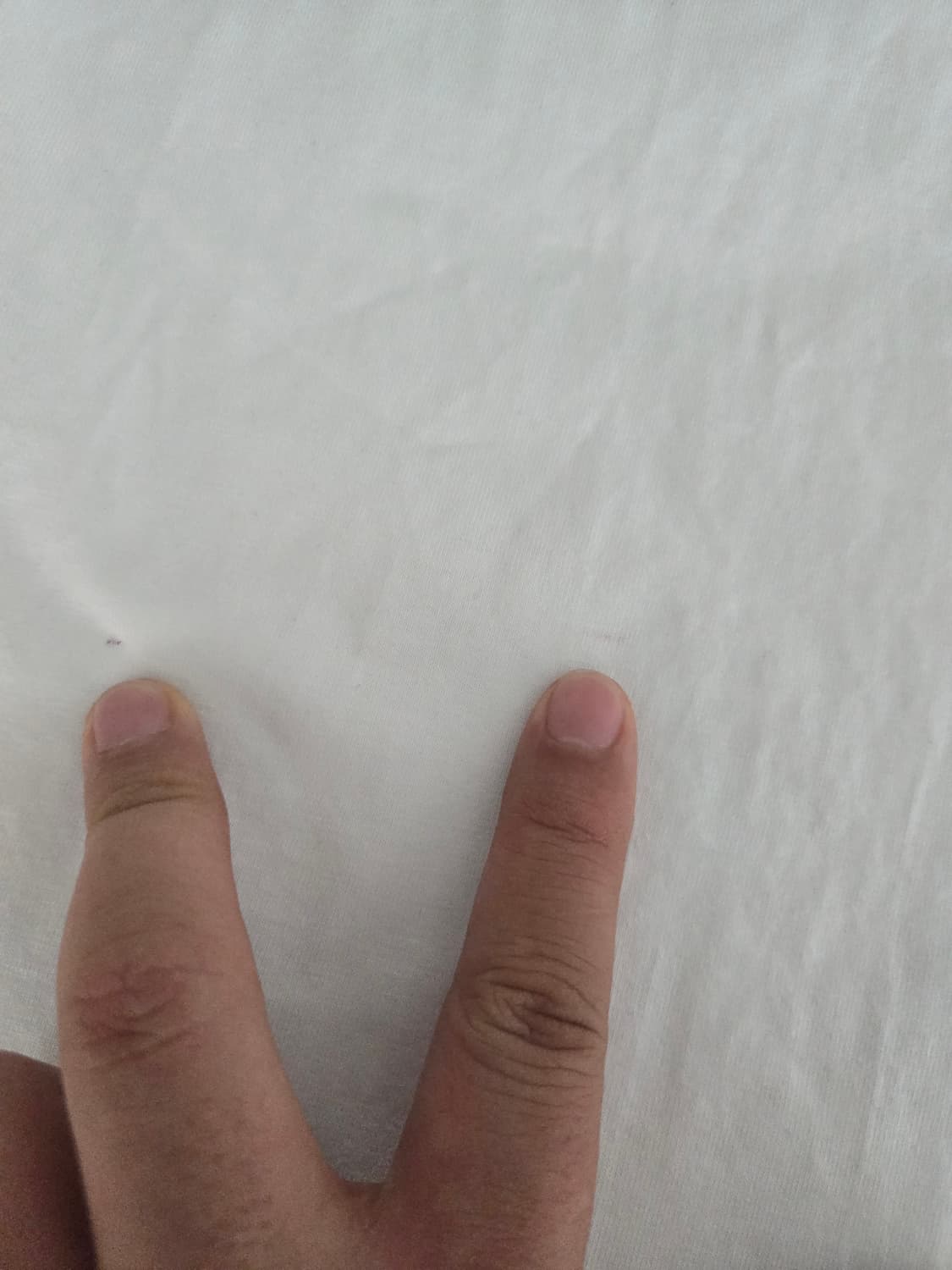 우영미 반팔티 화이트 상품이미지10