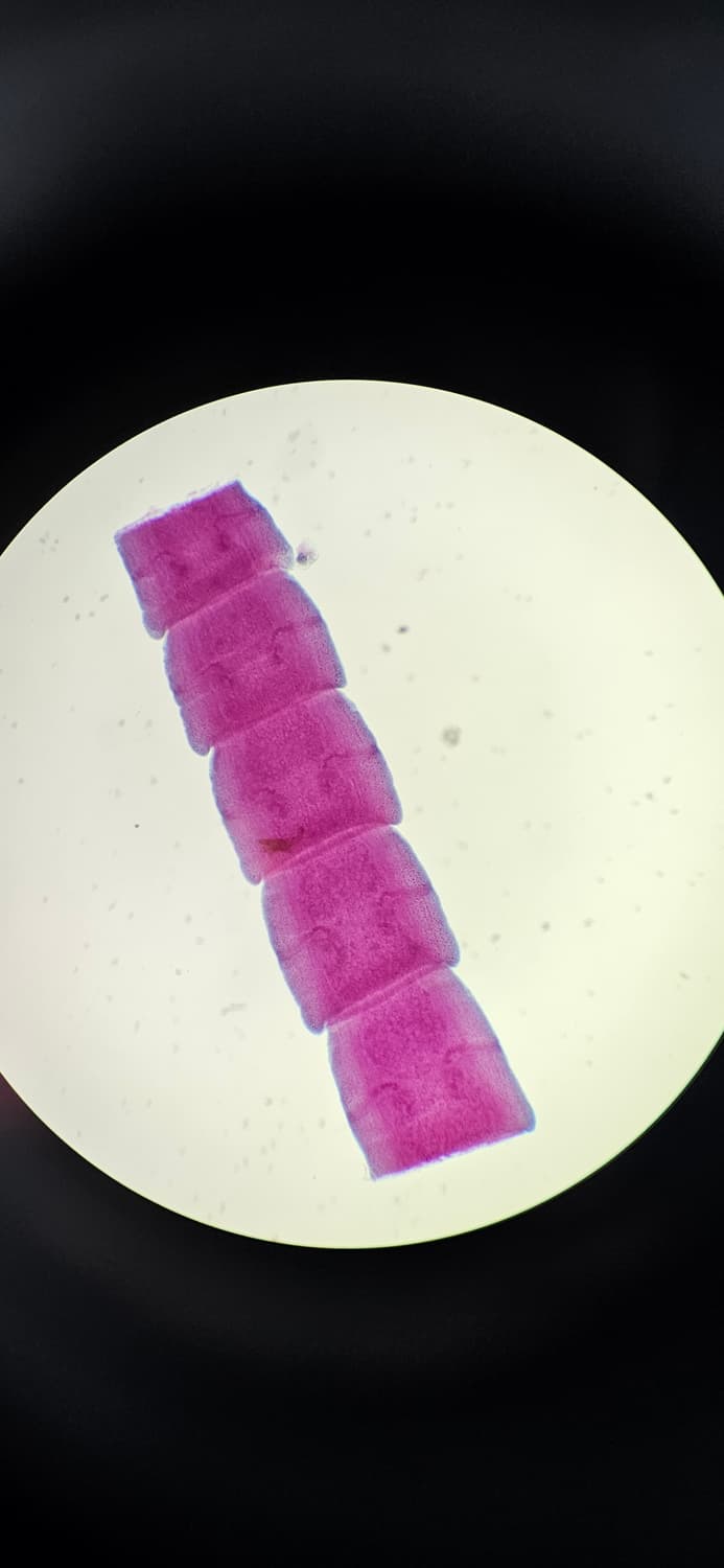 개인결제창 상품이미지1