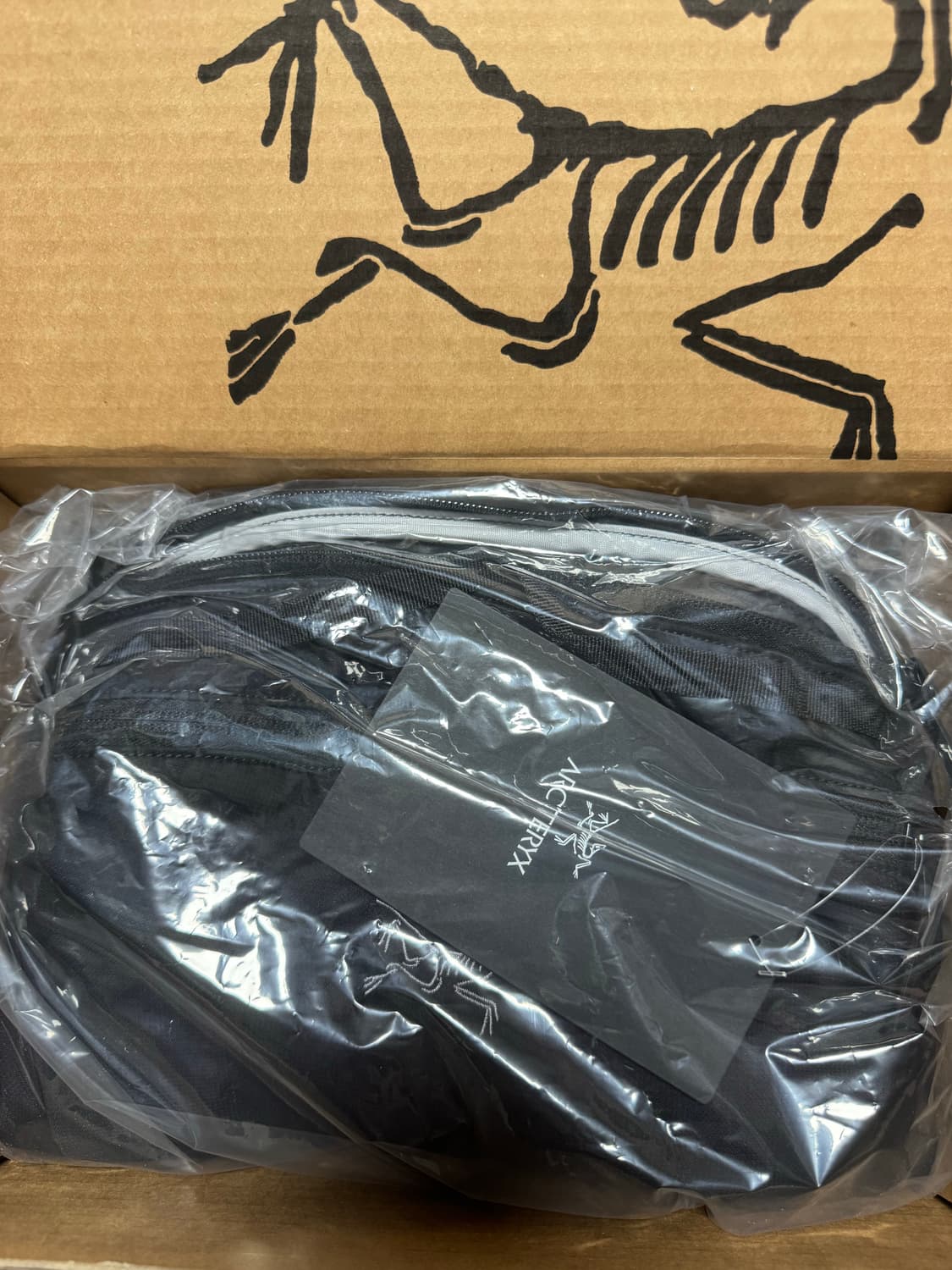 아크테릭스 헬리아드 15 블랙 상품이미지2