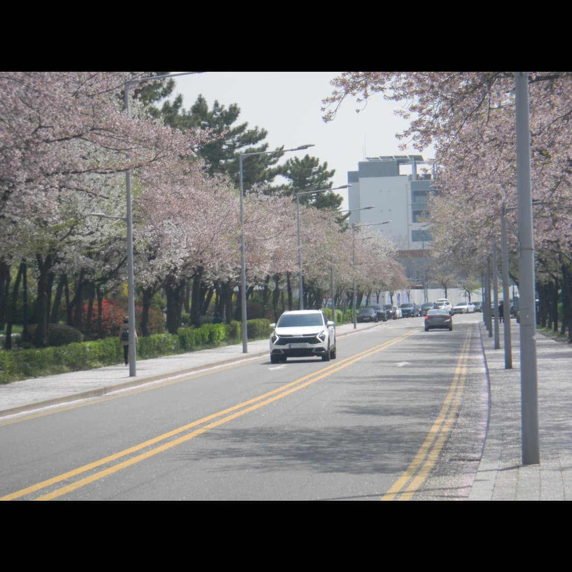 작례⭕️ 니콘 쿨픽스 S1000 PJ 빔프로젝트 상품이미지5