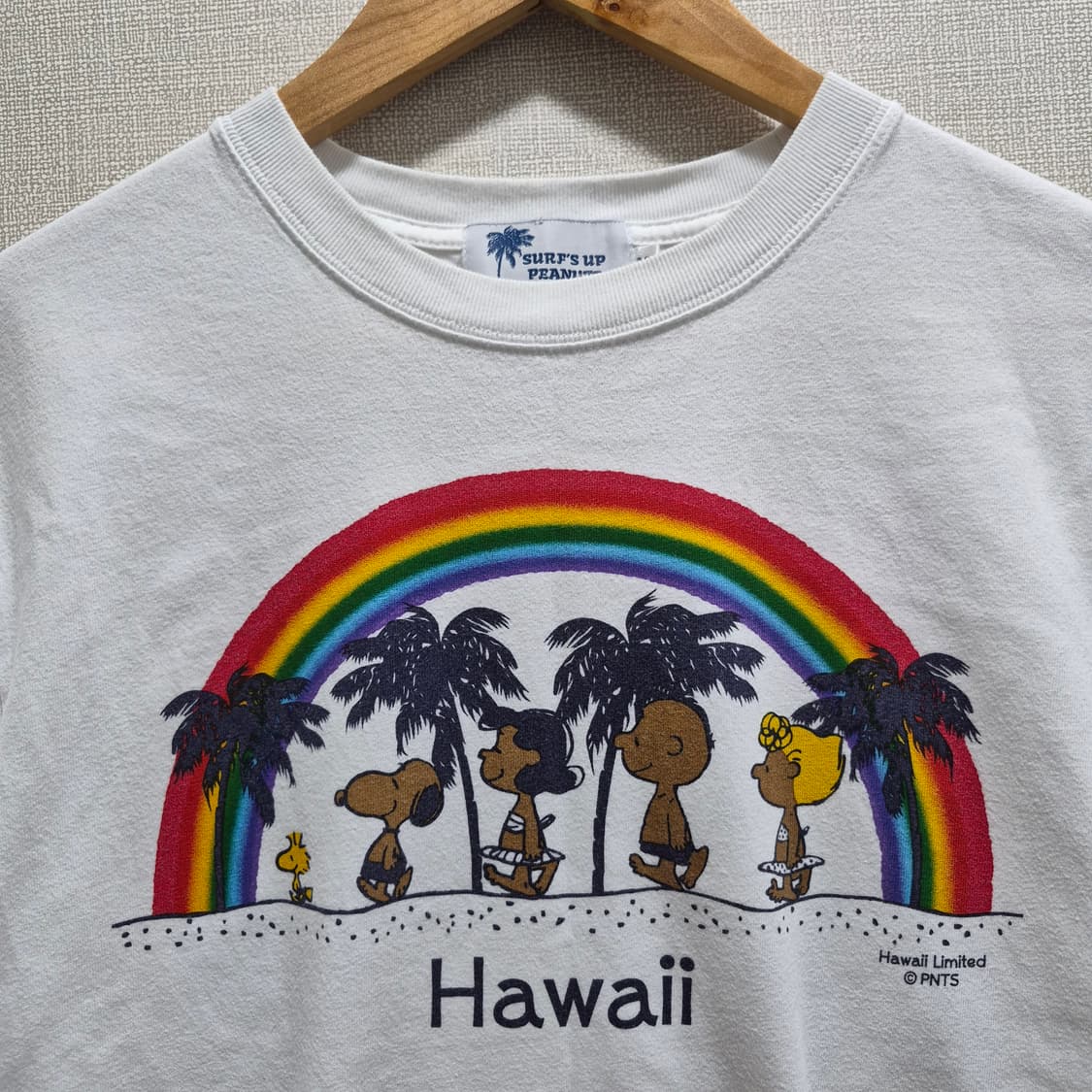 (M) surf's up peanuts 태닝 스누피 티셔츠 상품이미지1