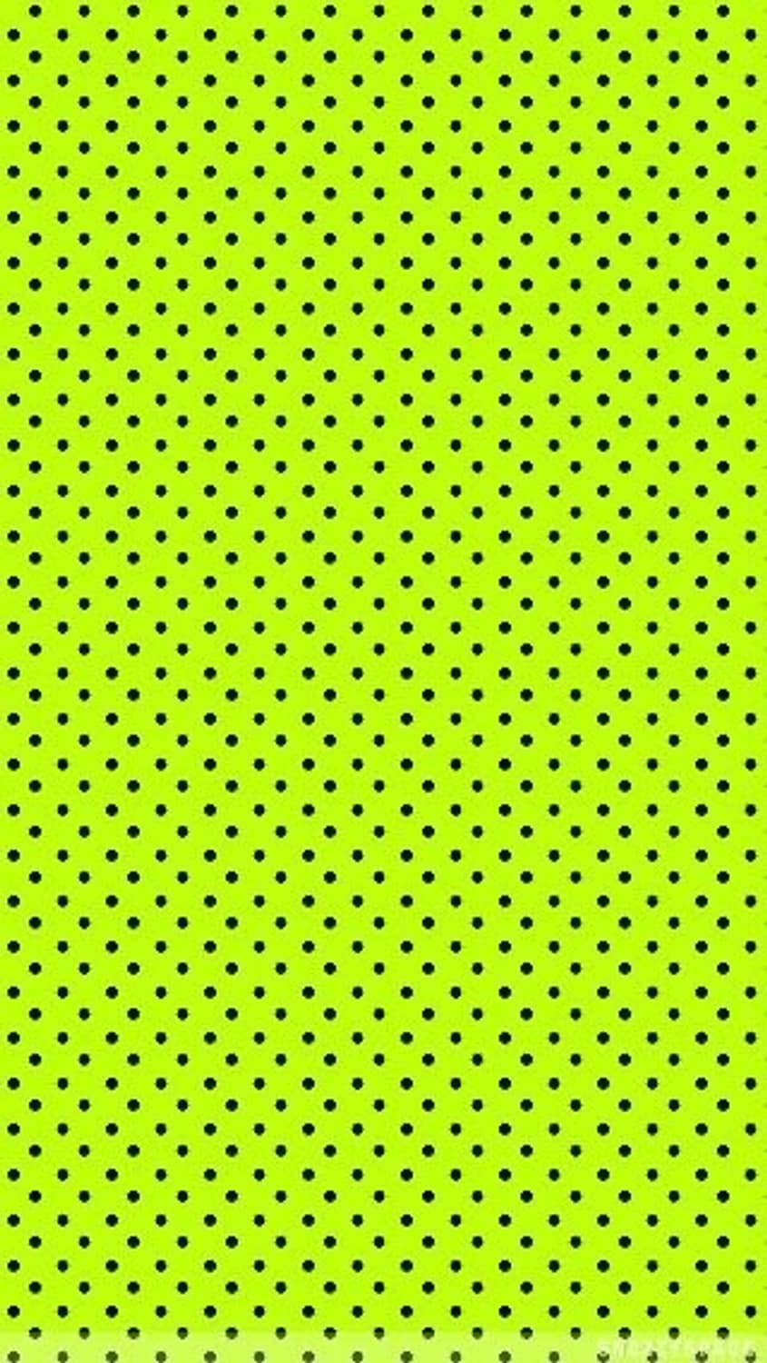 결제창 상품이미지1