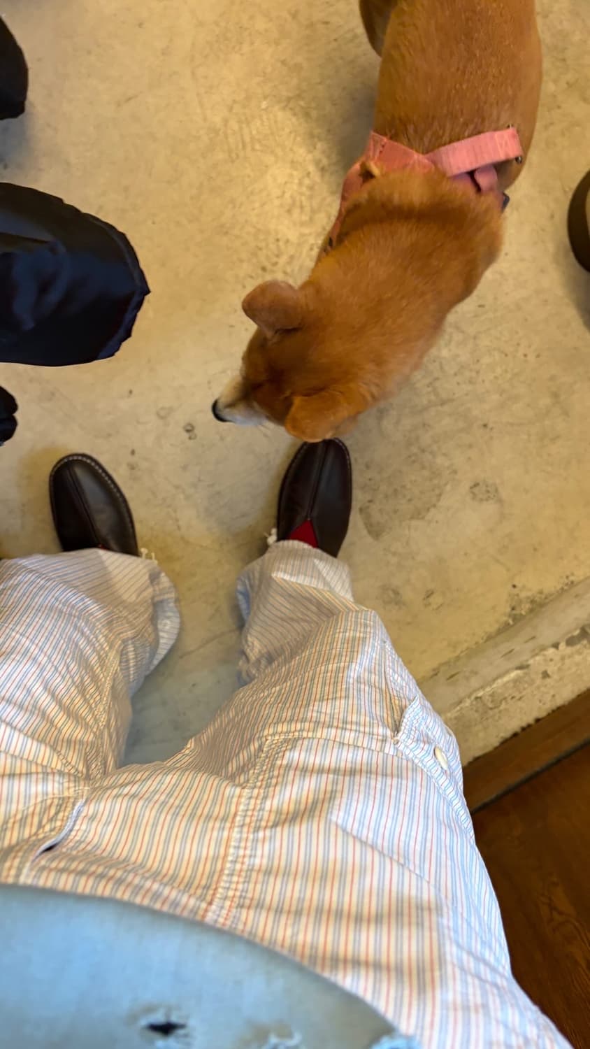 junya watanabe Cotton cargo pants 상품이미지1