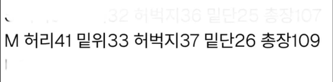 생지데님 팬츠 상품이미지2