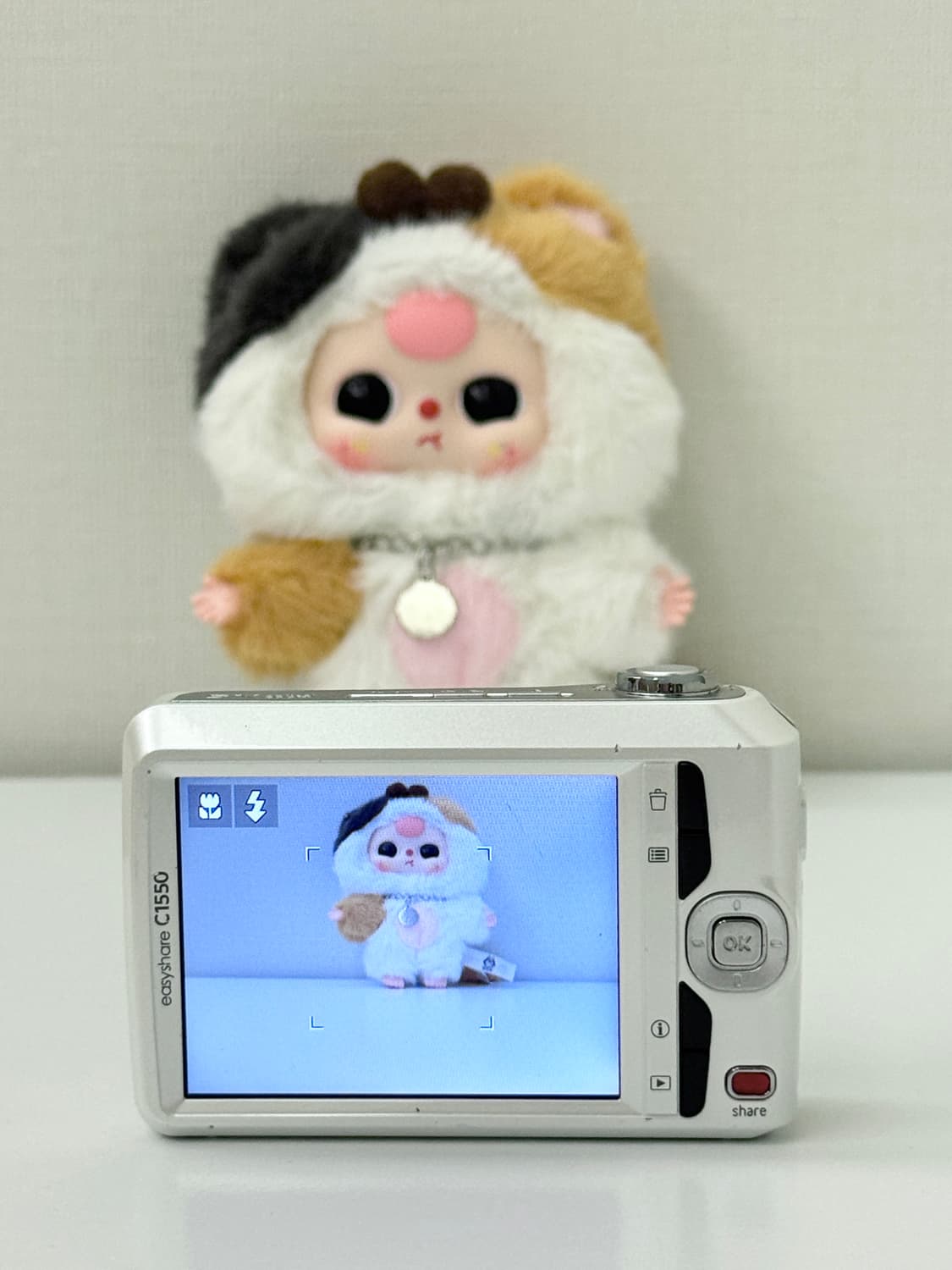 코닥 이지쉐어 c1550 (Kodak easyshare c1550) 상품이미지2