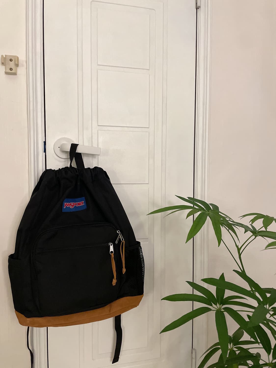 잔스포츠 x 빔즈 비스코프 팩 백팩 상품이미지2